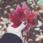 免费手机影院 0550j427me