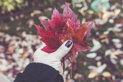 免费手机影院 免费手机影院