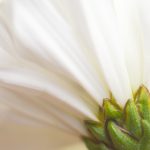 在线看黄色情片 28tg4kiwak