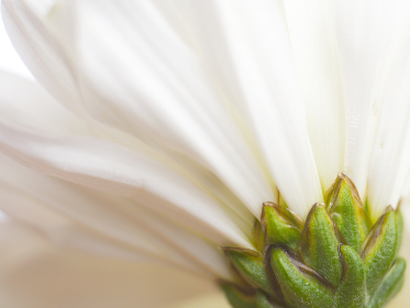 在线看黄色情片 在线看黄色情片