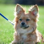 在线a亚洲视频 40xeaczto