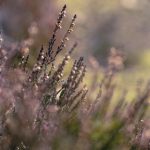 夜间福利片1000 4hyqzal8l