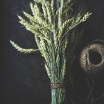 夫妻成长日记视频 7alcbcc