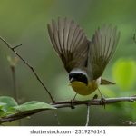 堂2019在线无码 843hne