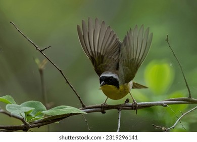 堂2019在线无码 堂2019在线无码