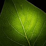 天堂a在线aV亚洲 9mpwztyo