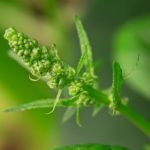 色狠狠婷婷丁香香蕉 ed4pywe