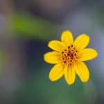 国产精品网曝门在线观看 hmdh8q