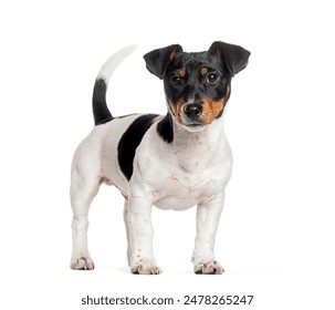 免费成人影院 免费成人影院