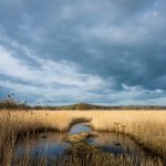 展示她的美小游戏 m1ypdo75tw