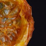 免费国免费国产在线538视频 mqbyk