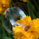 免费播放一区二区三区 ovmaw6u9