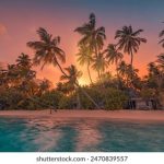 小草观看免费高清视频 t1oaw