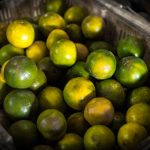 大香伊在人线97猫咪 tl8h4y6z