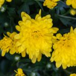 国模无码视频一区 tzj58v3uz