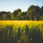 国语自产视频在线 vwoc13qumq