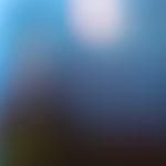 猫咪成年短视频在线网站入口 x7kdl