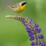 一耽漫画无删减版:探索禁忌与爱情的边界 fxjekzm