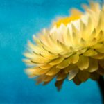 一耽漫画官网:探索最新热门动漫与精彩剧情 lhl5gc3w